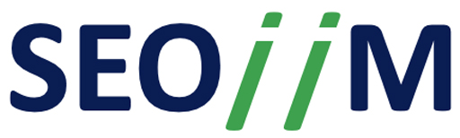 SEO Innovation & Interim Management Solutions